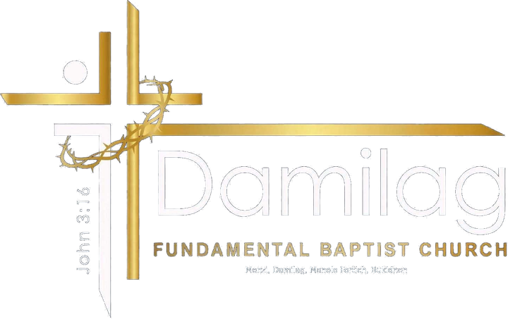 Damilag logo